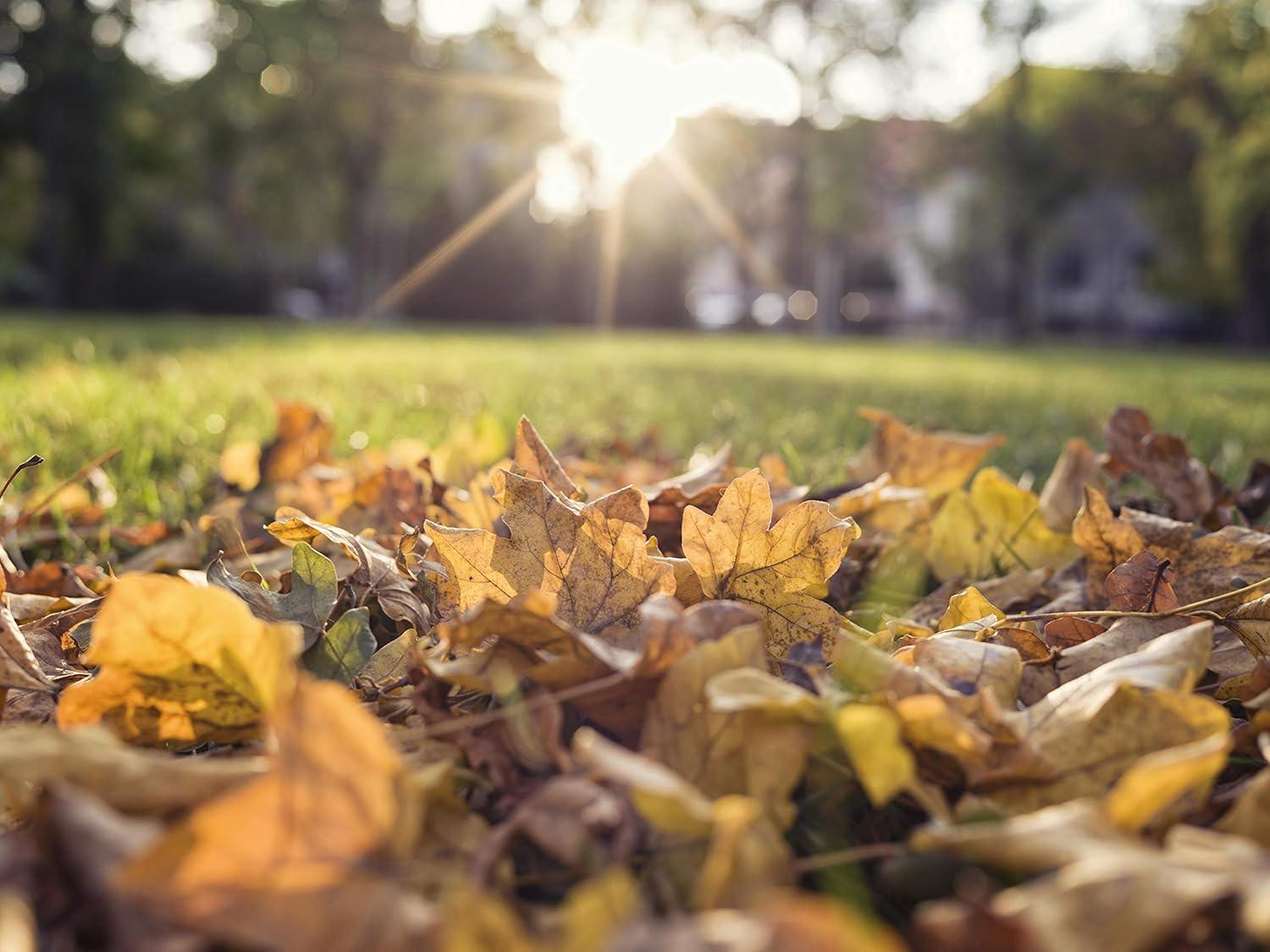 imageGARDENA 03565 Lawn and Leaf Collector Durable and Easy to Manuever Push Lawn and Leaf Sweeper with Large Capacity 32 cu ft Mesh Collection Hopper Bag 5 Year WarrantyModern