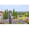 Gardena Commande d&rsquo;arrosage avec appli Bluetooth®: Arrosage automatique pour le jardin et le balcon, configurable via l&rsquo;appli, cycles d&rsquo;arrosage en 3 programmes horaires, portée de 10 m (01889-20)(Programmateur d&rsquo;Arrosage Master)