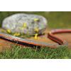 Gardena Tuyau Highflex Comfort 13 mm (1/2 Pouce), 30 m: Tuyau de jardin avec profilé de puissance, pression de 30 bars, stable dimensionnellement, résistant aux UV (18066-20)(13 mm (1/2&Prime;)  50 M)
