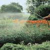 Lance-arrosoir grand débit de Gardena : lance de jardin pour un débit d&rsquo;eau élevé, avec jet d&rsquo;eau réglable en continu (2847-20)(30 x 20 x 20 cm)