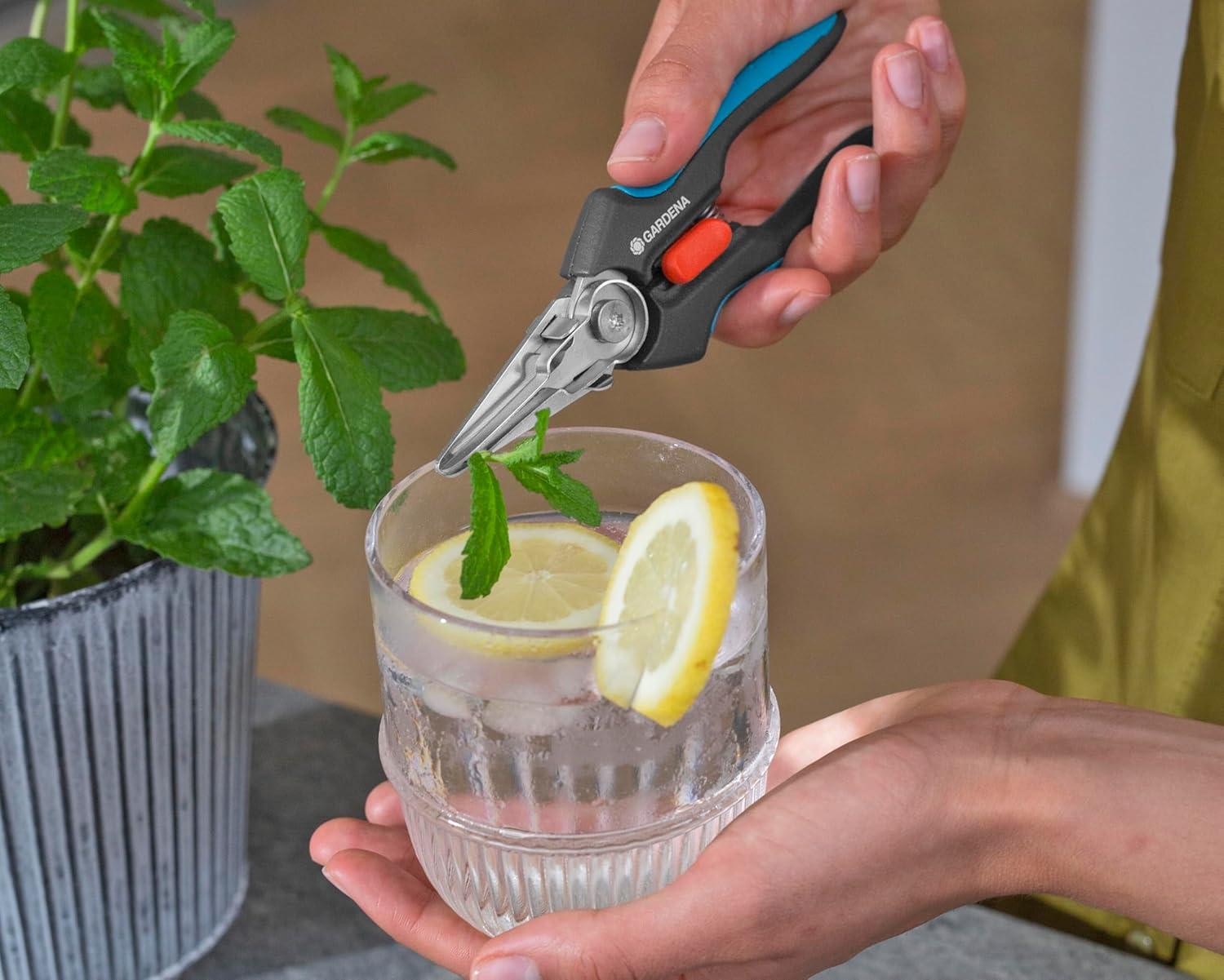 imageGardena HerbCut Ciseaux herbes en acier inoxydable pour couper les herbes ligneuses lame de 52 mm manches en plastique recycl avec fonction dfoliation pour le romarin par exemple 1221420herbes douces