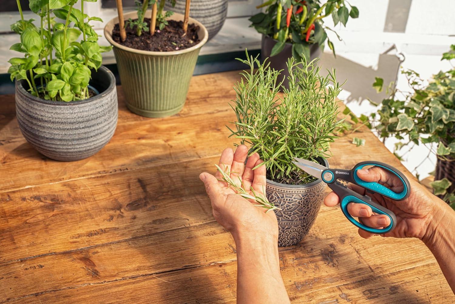 imageGardena HerbCut Ciseaux herbes en acier inoxydable pour couper les herbes ligneuses lame de 52 mm manches en plastique recycl avec fonction dfoliation pour le romarin par exemple 1221420herbes boises