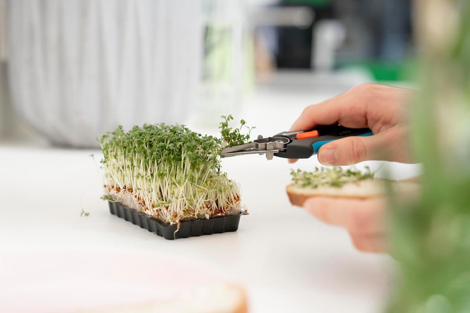 imageGardena HerbCut Ciseaux herbes en acier inoxydable pour couper les herbes ligneuses lame de 52 mm manches en plastique recycl avec fonction dfoliation pour le romarin par exemple 1221420herbes douces