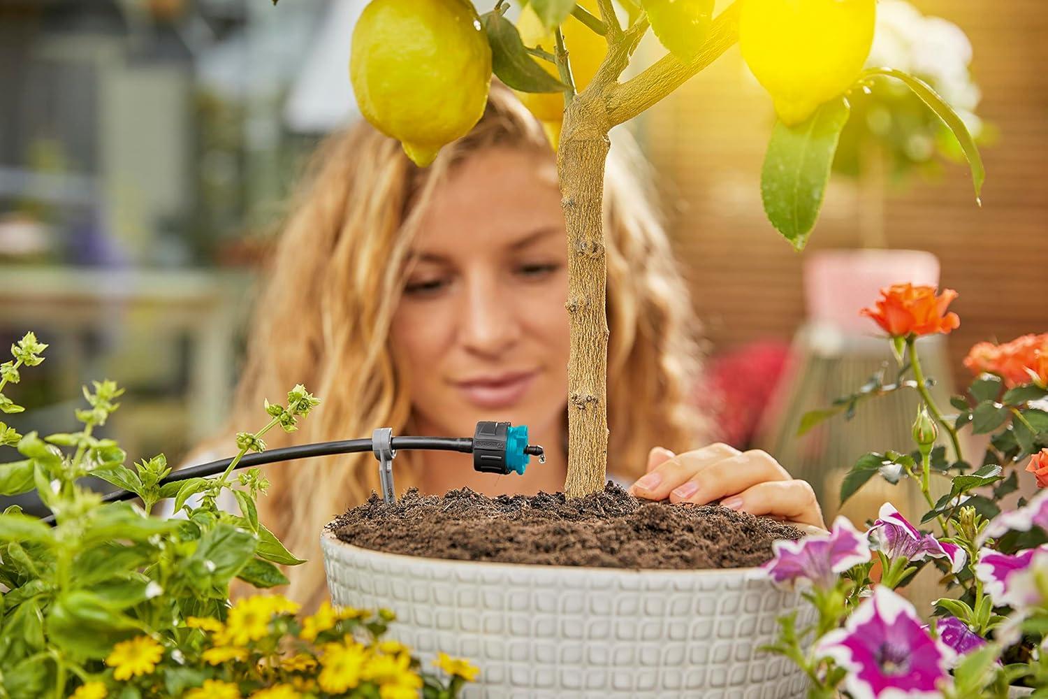 imageGardena MicroDrip System Goutteur dextrmit rglable rgulateur de Pression Embout pour Irrigation Goutte Goutte pour arroser des Plantes avec diffrentes hauteurs de Pot 1330420