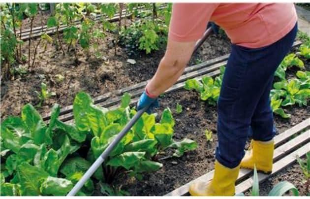 imageManche tlescopique Combisystem de Gardena160290 cm manche dextension pour tous les appareils Combisystem 160290 cm de longueur rglable individuellement avec amortisseur 372020Manche alu gain