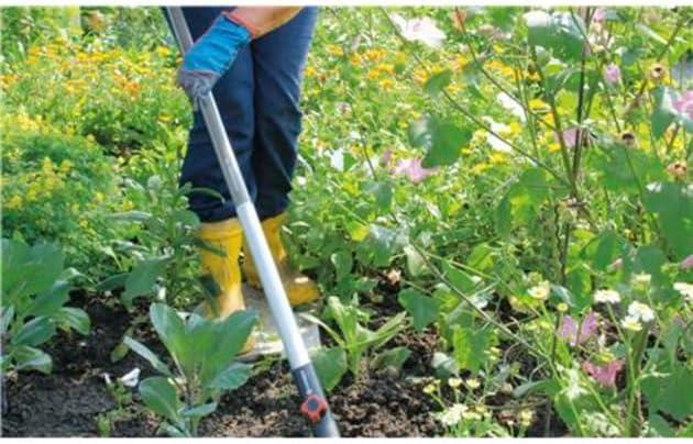 imageManche tlescopique Combisystem de Gardena160290 cm manche dextension pour tous les appareils Combisystem 160290 cm de longueur rglable individuellement avec amortisseur 372020Manche alu gain