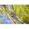 Gardena Akku-Baumschere EasyCut 110/18V P4A Ready-to-Use Set(sans batterie)