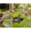 Gardena Câble de rallonge (10 m): Pour capteur de pluie Gardena et sonde d&rsquo;humidité du sol Gardena, câble de raccordement avec système Click simple, jusqu&rsquo;à 105 m, sur et sous le sol (01868-20)