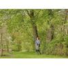 Gardena Cisaille à Arbres télescopique sans Fil HighCut 360/18V P4A Kit prêt à l’emploi :Ébrancheurs avec Manche télescopique pour Branches jusqu&rsquo;à 5 m de Haut, tête de Coupe pivotante (14776-20)(avec batterie)