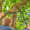 Gardena Ciseaux de succursale Premium 700b: Trade de dérivation pour la coupe douce et précise des plantes, des bras de profilé en aluminium à double courbe et stable (8710-20)(Bois Sec)