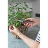 Gardena Couteau de récolte VeggieCut : couteau en acier inoxydable pour récolter, nettoyer et éplucher les légumes, manche antidérapant, va au lave-vaisselle (12211-20)(Set)