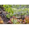 Gardena MDS Extension Pipe(Anthracite)