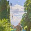 Gardena StarCut Pro L, Bypass Cut, élagueur télescopique et adaptateur