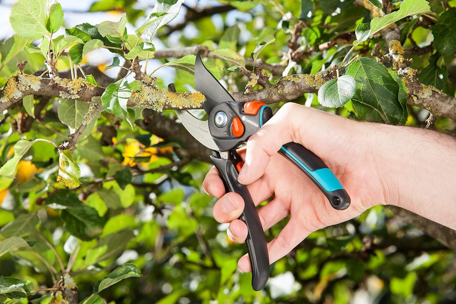 imageSxe9cateur ajustable xe0 lame franche Comfort BSXL de Gardena sxe9cateur pour brindilles et branches ligneuses diamxe8tre de coupe max 24 mm ouverture en continu de la poignxe9e 890520Unique