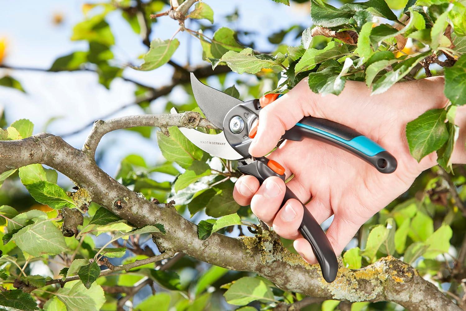 imageSxe9cateur ajustable xe0 lame franche Comfort BSXL de Gardena sxe9cateur pour brindilles et branches ligneuses diamxe8tre de coupe max 24 mm ouverture en continu de la poignxe9e 890520Unique