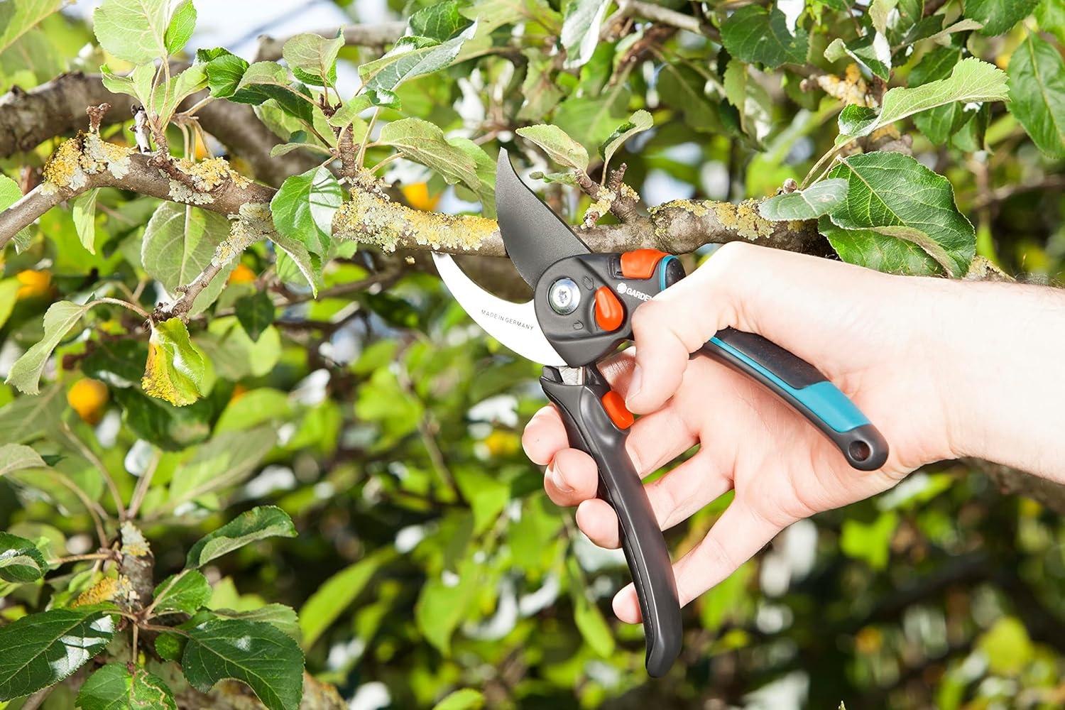 imageSxe9cateur ajustable xe0 lame franche Comfort BSXL de Gardena sxe9cateur pour brindilles et branches ligneuses diamxe8tre de coupe max 24 mm ouverture en continu de la poignxe9e 890520Unique