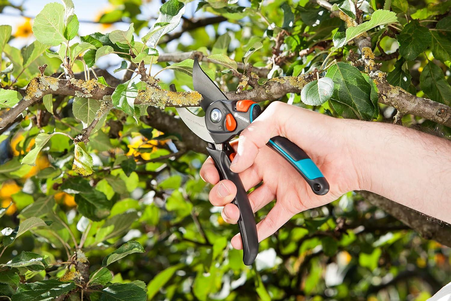 imageSxe9cateur ajustable xe0 lame franche Comfort BSXL de Gardena sxe9cateur pour brindilles et branches ligneuses diamxe8tre de coupe max 24 mm ouverture en continu de la poignxe9e 890520Unique