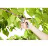 Gardena Sécateur à enclume SmartCut Comfort de : sécateur robuste à enclume pour le bois épais et sec jusqu&rsquo;à 25 mm de diamètre, avec deux positions de poignée et poignées en alu (8798-20)(sans racle-sève)