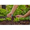 Gardena Buse pour petites zones Micro-Drip System : buse de pulvérisation pour système d&rsquo;irrigation automatique, pour petites zones jusqu&rsquo;à 40 cm de diamètre (13316-20)(Anthracite  Turquoise)