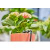 Gardena L-Joint 4,6 mm 3/16&Prime;(Anthracite)