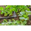 Gardena L-Joint 4,6 mm 3/16&Prime;(Anthracite)